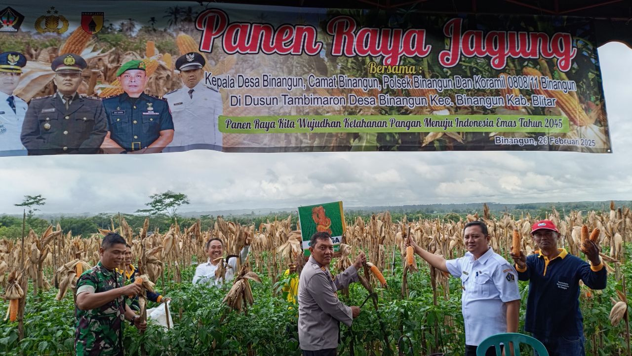 PANEN RAYA JAGUNG SERENTAK TAHAP 1 DI DESA BINANGUN KABUPATEN BLITAR